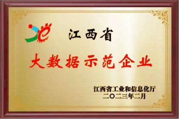 大数据示范企业