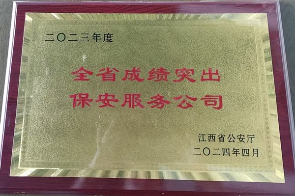 全省成绩突出保安服务公司
